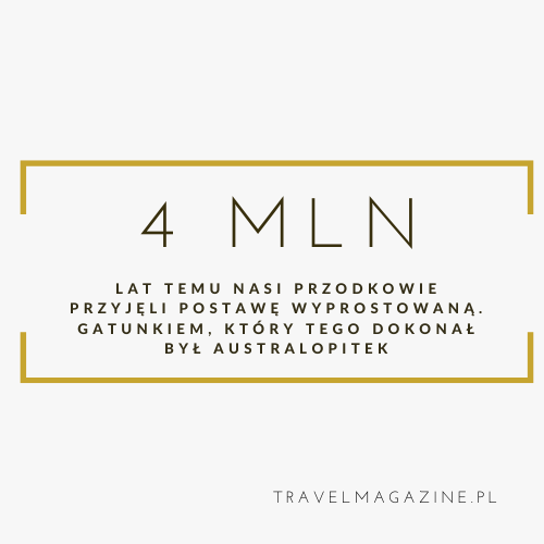 Musztardowe Czarne Minimalistyczne Etsy Sklep Ikona2