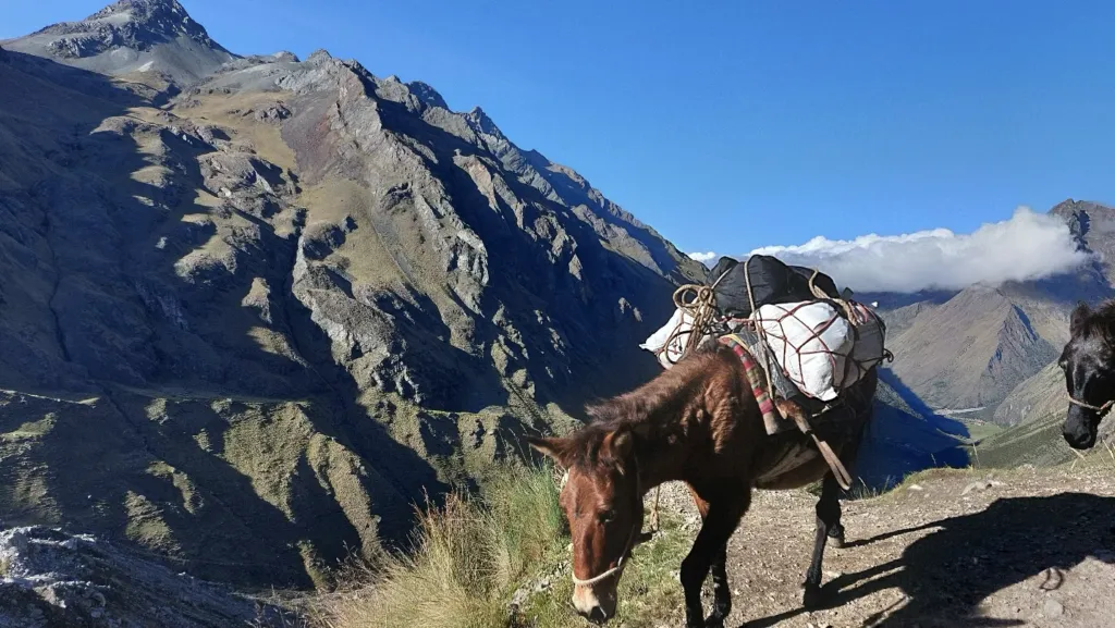 peru co zjeść