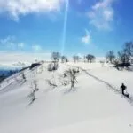 narty japonia
