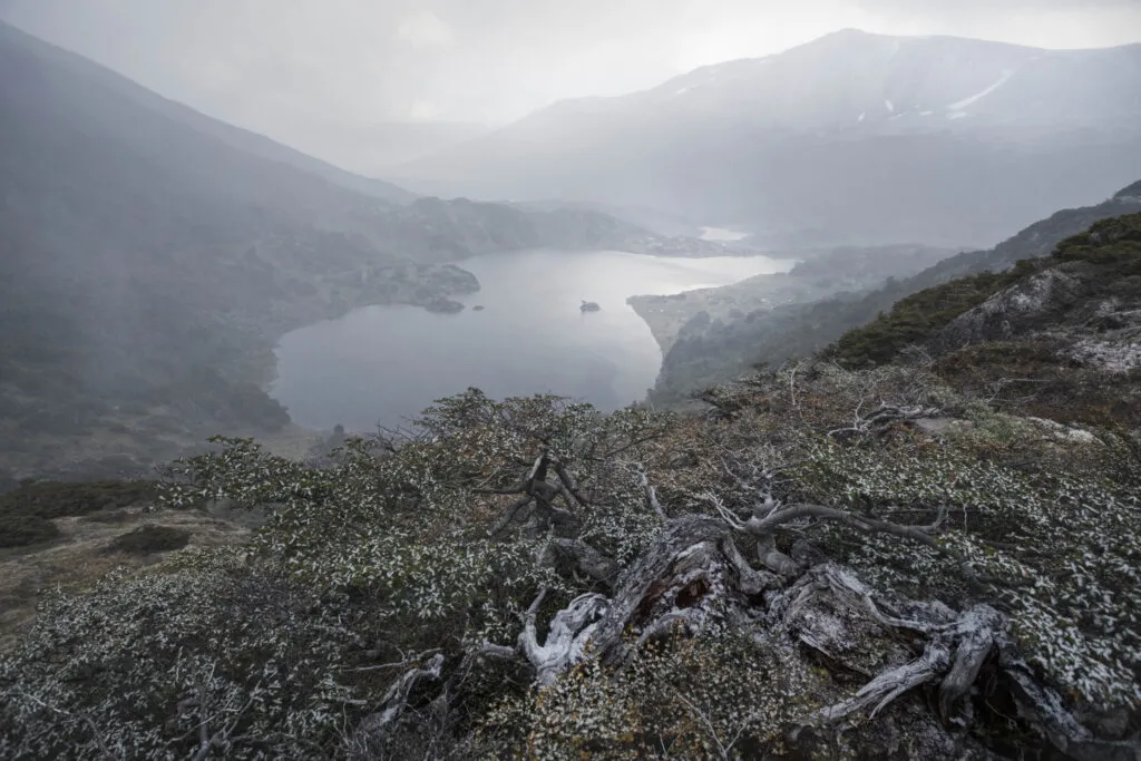patagonia