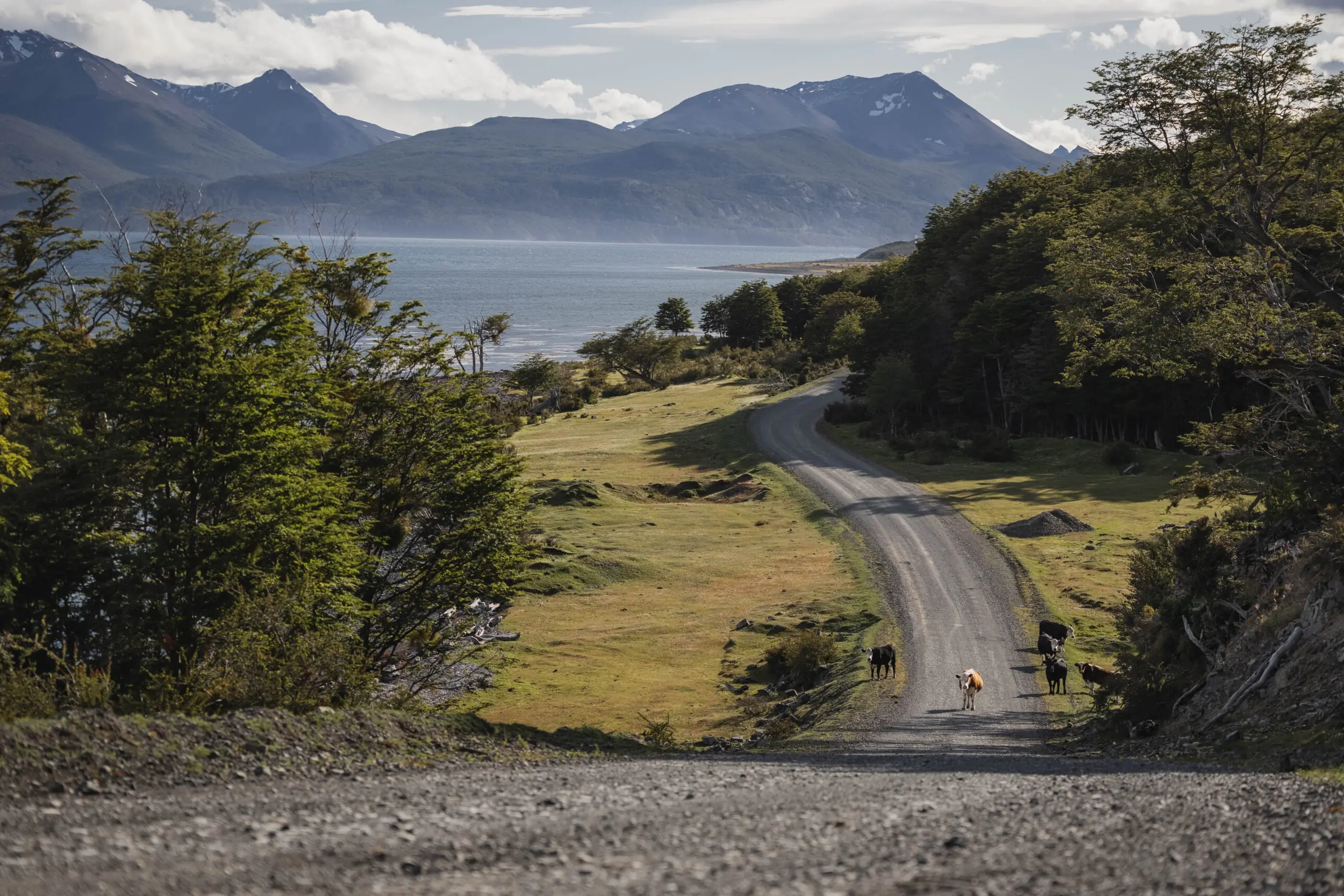 patagonia