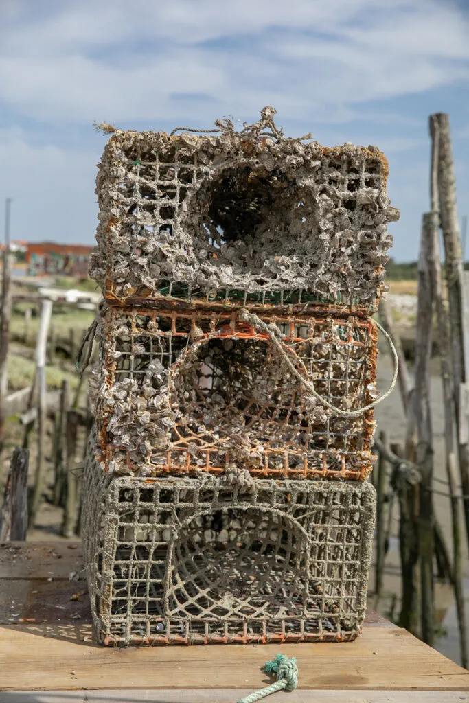 Cais Palafitíco da Carrasqueira